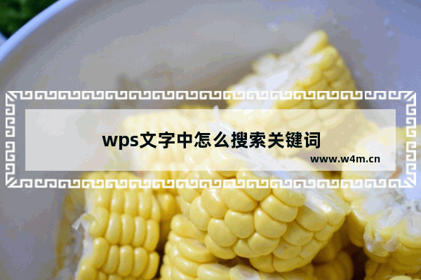 wps文字中怎么搜索关键词