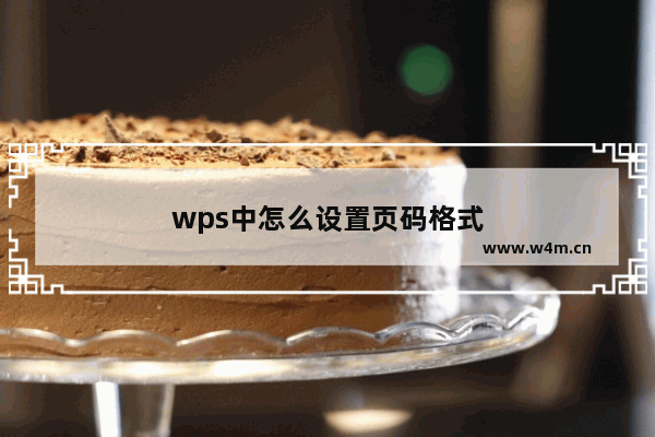 wps中怎么设置页码格式