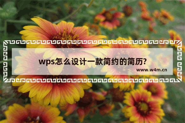 wps怎么设计一款简约的简历?