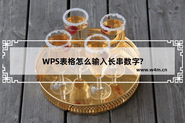 WPS表格怎么输入长串数字?