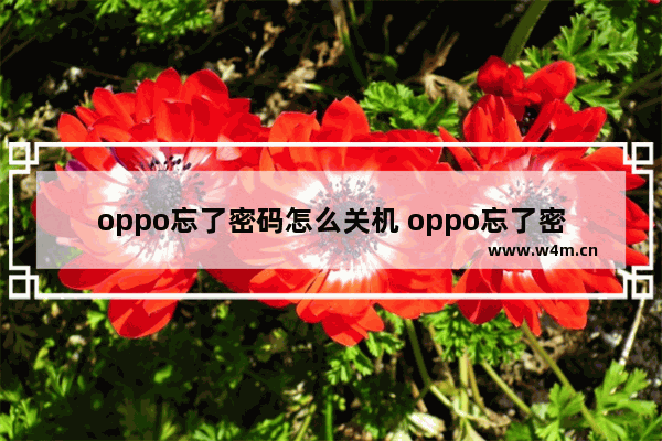 oppo忘了密码怎么关机 oppo忘了密码怎么关机重启手机