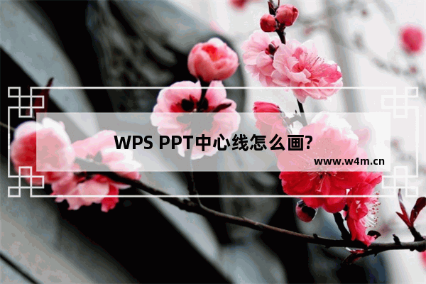 WPS PPT中心线怎么画?