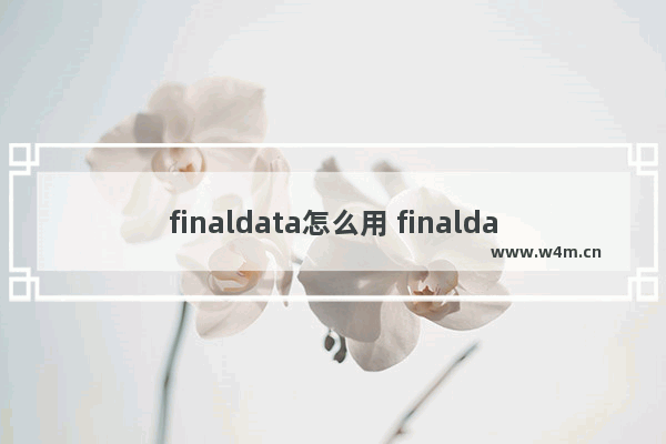 finaldata怎么用 finaldata怎么样