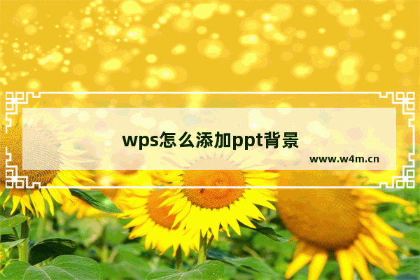 wps怎么添加ppt背景