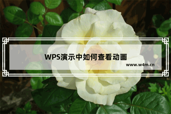 WPS演示中如何查看动画