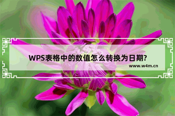 WPS表格中的数值怎么转换为日期?