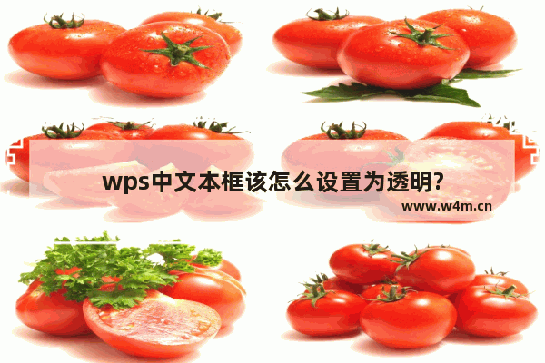 wps中文本框该怎么设置为透明?