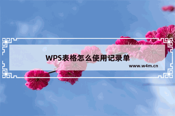 WPS表格怎么使用记录单