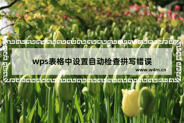 wps表格中设置自动检查拼写错误