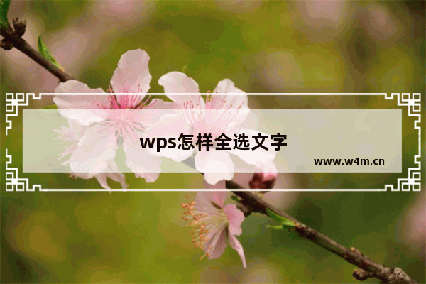 wps怎样全选文字