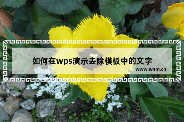 如何在wps演示去除模板中的文字