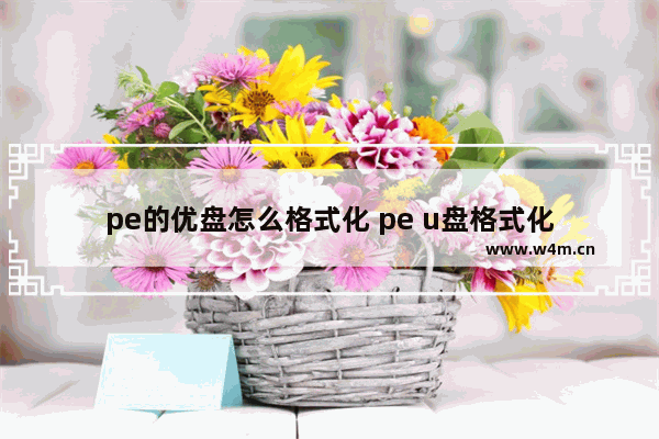 pe的优盘怎么格式化 pe u盘格式化