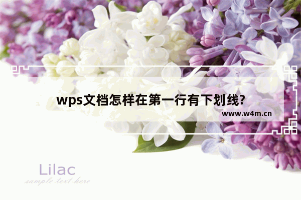 wps文档怎样在第一行有下划线?