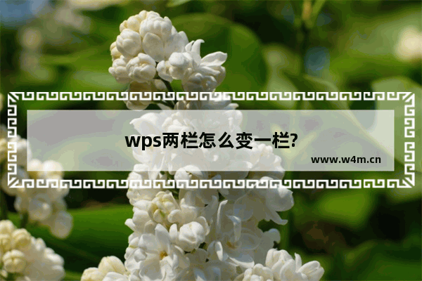 wps两栏怎么变一栏?