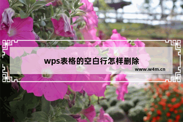 wps表格的空白行怎样删除