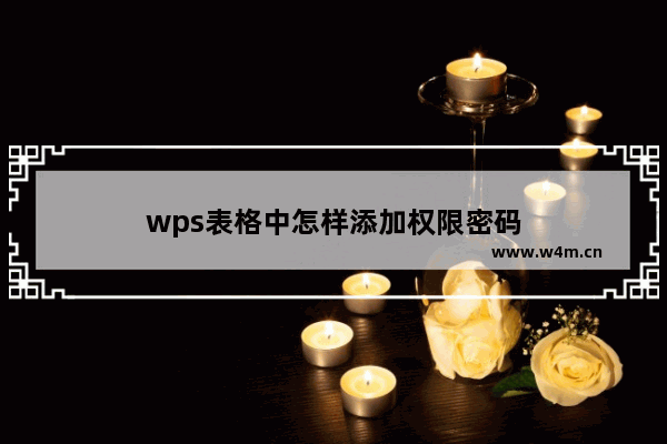 wps表格中怎样添加权限密码