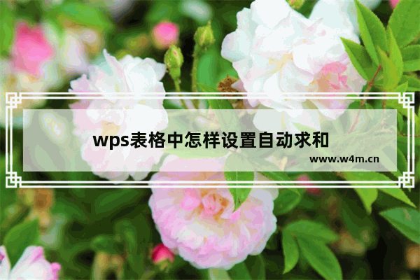 wps表格中怎样设置自动求和