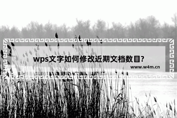 wps文字如何修改近期文档数目?