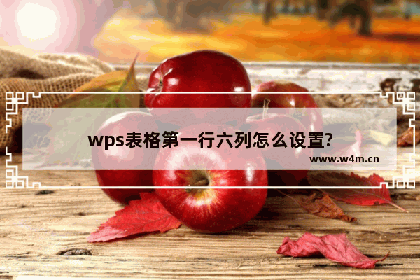 wps表格第一行六列怎么设置?