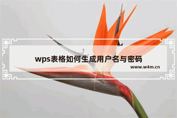 wps表格如何生成用户名与密码