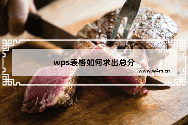 wps表格如何求出总分