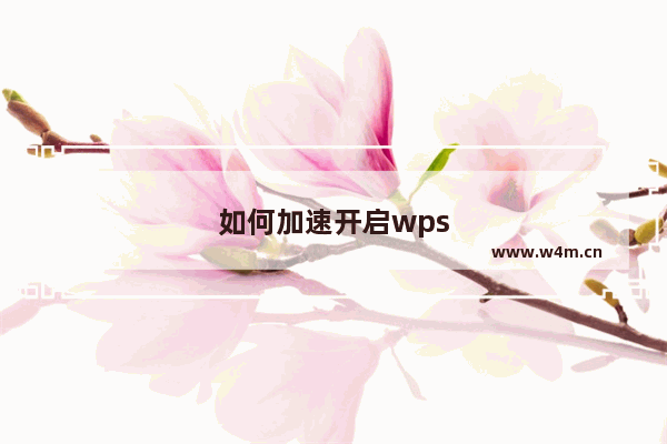 如何加速开启wps