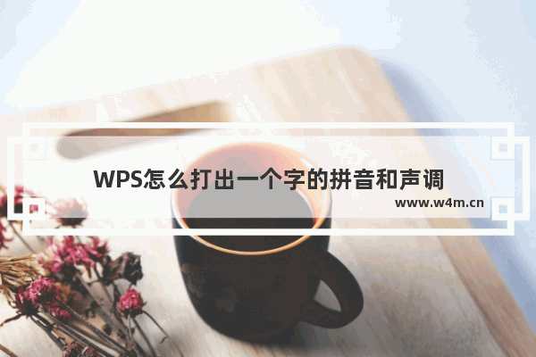 WPS怎么打出一个字的拼音和声调