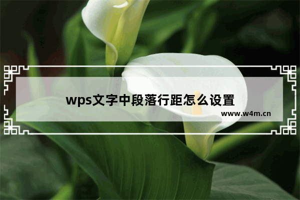 wps文字中段落行距怎么设置