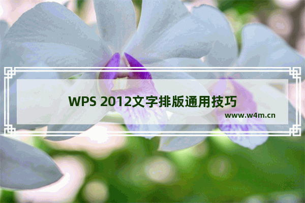 WPS 2012文字排版通用技巧