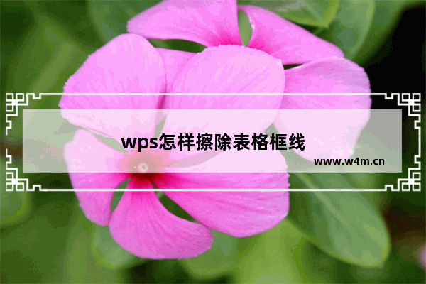 wps怎样擦除表格框线