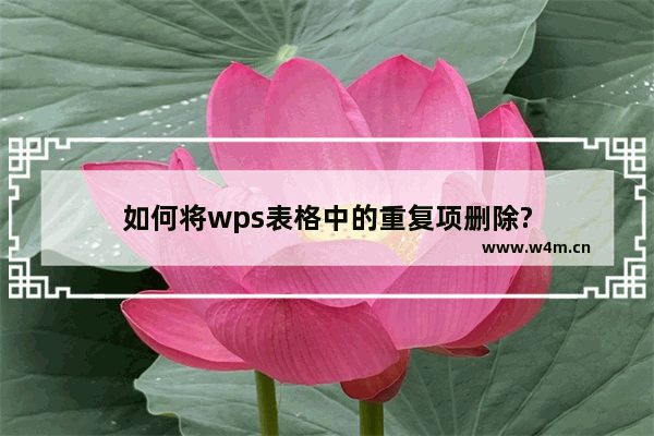 如何将wps表格中的重复项删除?