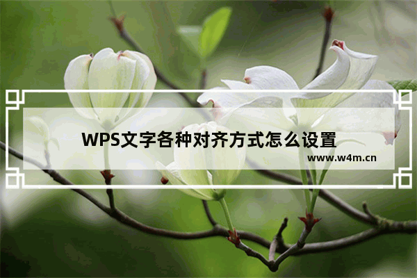 WPS文字各种对齐方式怎么设置