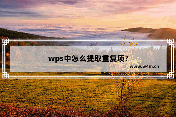 wps中怎么提取重复项?