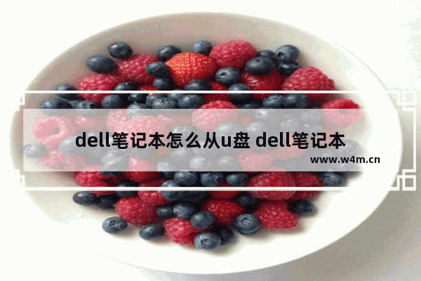 dell笔记本怎么从u盘 dell笔记本怎么用u盘重装系统