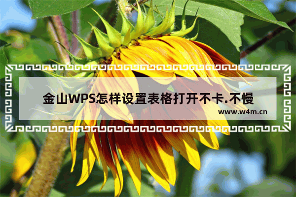 金山WPS怎样设置表格打开不卡.不慢