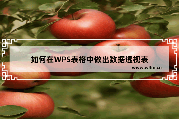 如何在WPS表格中做出数据透视表