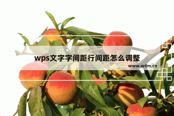 wps文字字间距行间距怎么调整