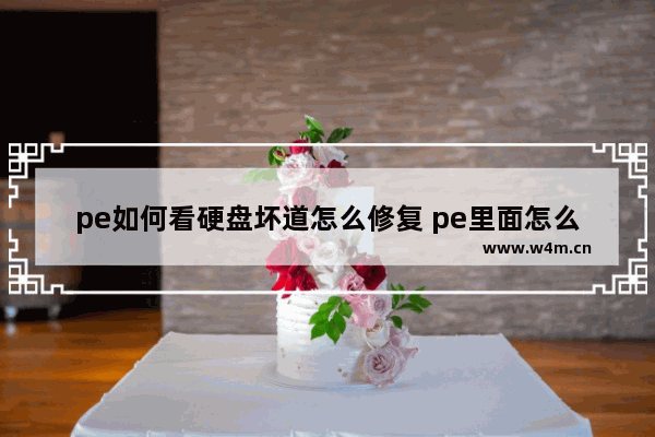 pe如何看硬盘坏道怎么修复 pe里面怎么检测硬盘坏道