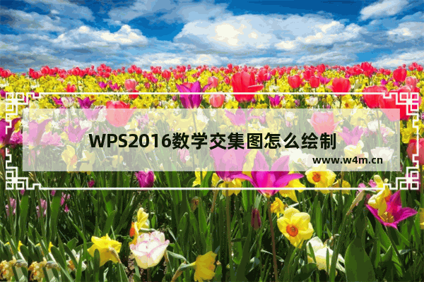 WPS2016数学交集图怎么绘制