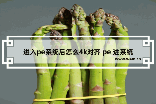 进入pe系统后怎么4k对齐 pe 进系统