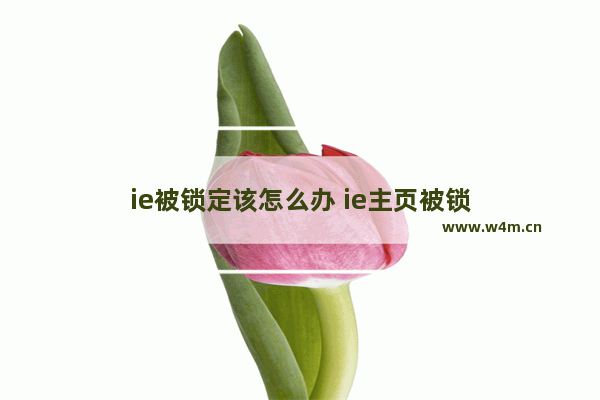 ie被锁定该怎么办 ie主页被锁