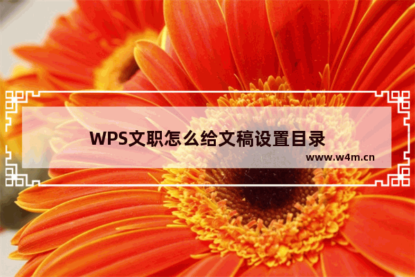 WPS文职怎么给文稿设置目录