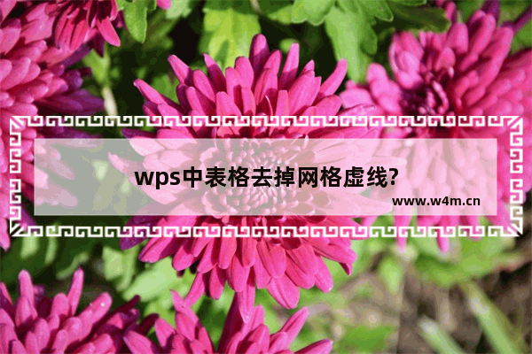 wps中表格去掉网格虚线?