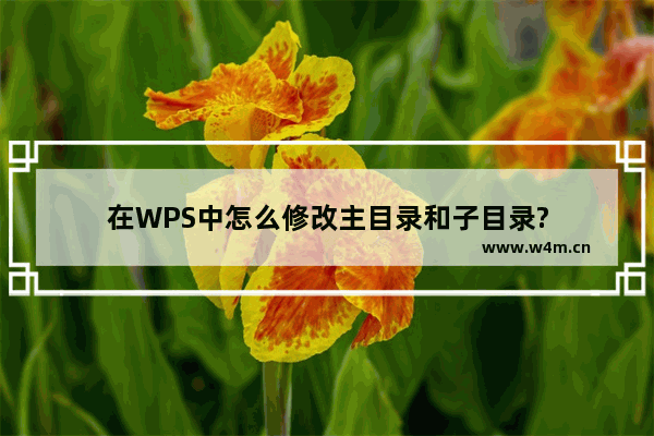 在WPS中怎么修改主目录和子目录?