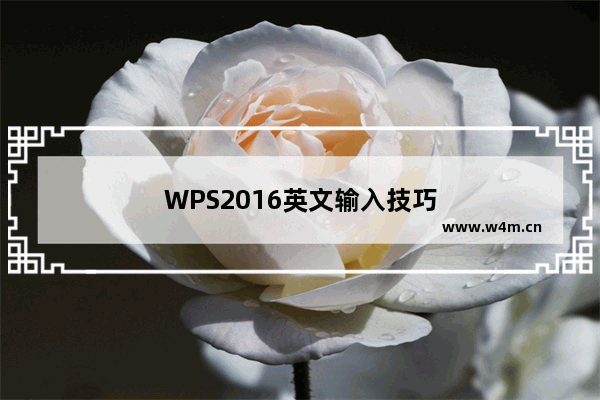 WPS2016英文输入技巧