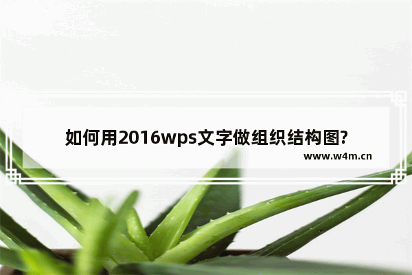 如何用2016wps文字做组织结构图?