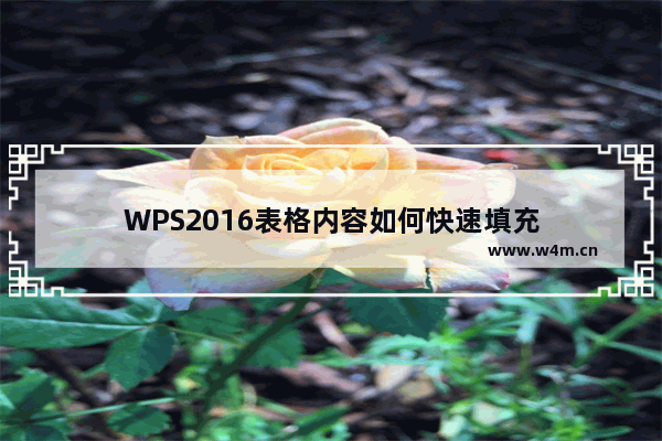 WPS2016表格内容如何快速填充