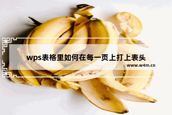 wps表格里如何在每一页上打上表头