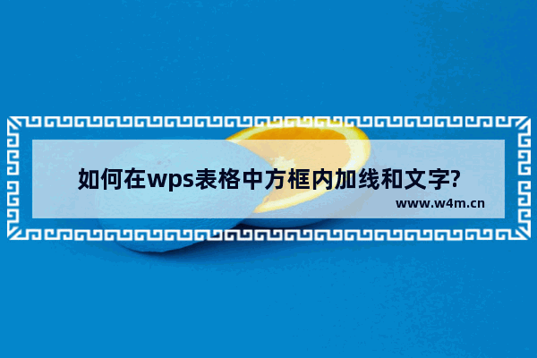 如何在wps表格中方框内加线和文字?