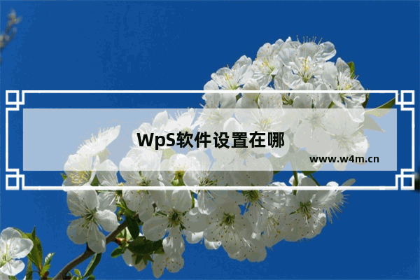 WpS软件设置在哪